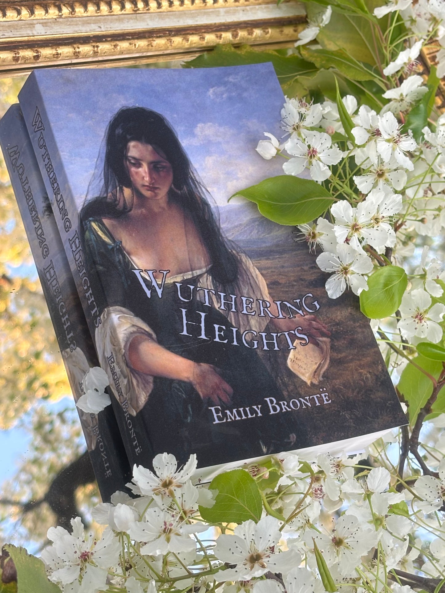 Wuthering Heights Paperback rebind