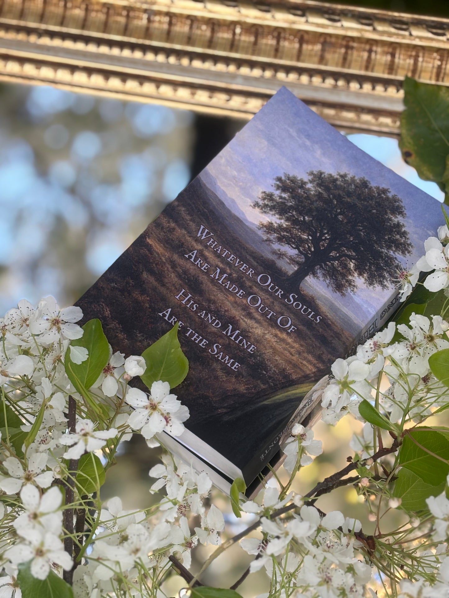 Wuthering Heights Paperback rebind