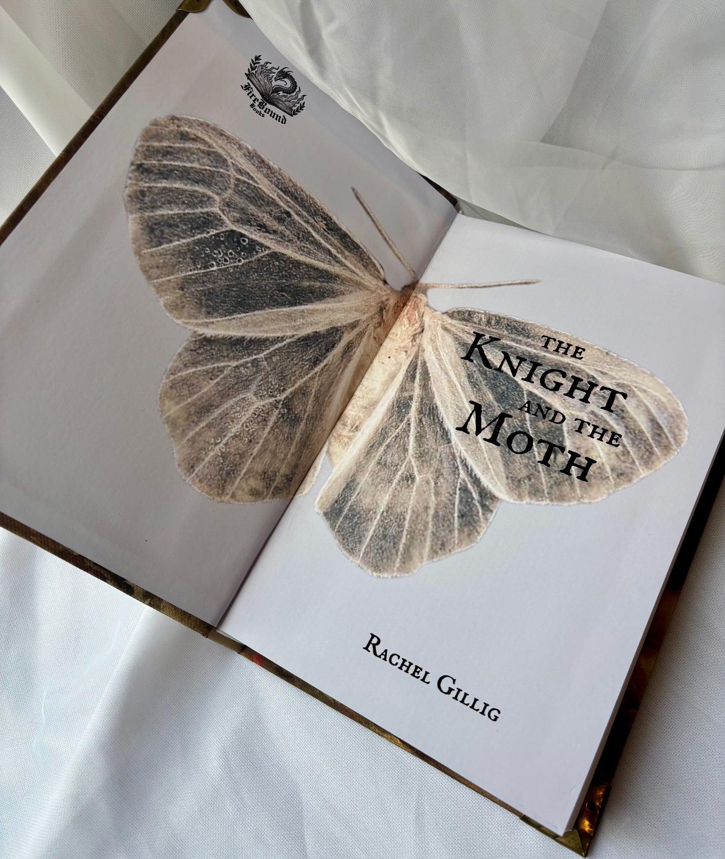 The Knight and the Moth Rebind // Special Edition