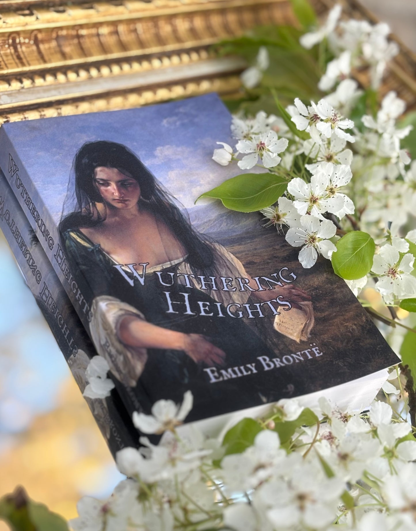 Wuthering Heights Paperback rebind