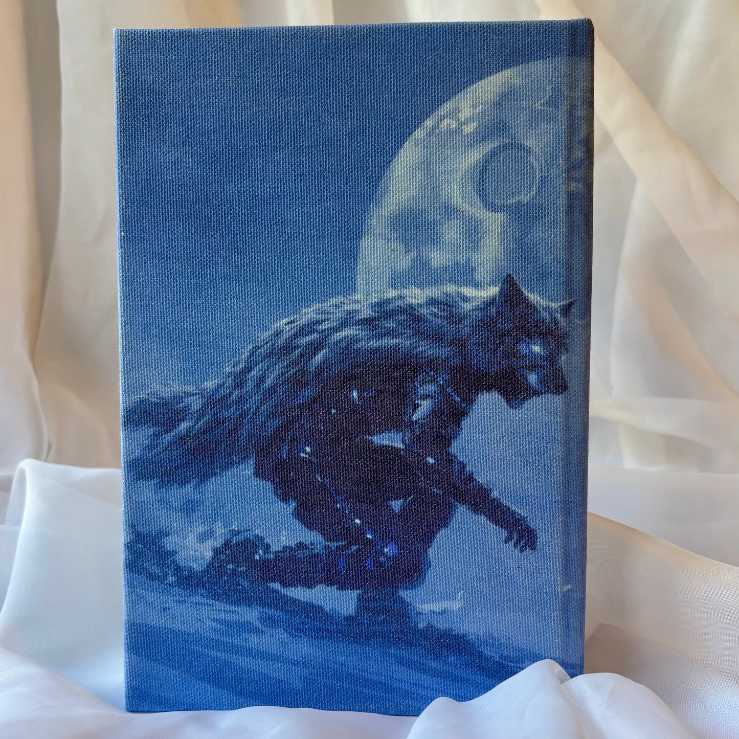 Red Rising Trilogy By Pierce Brown // Hardcover Rebind // Special Edition