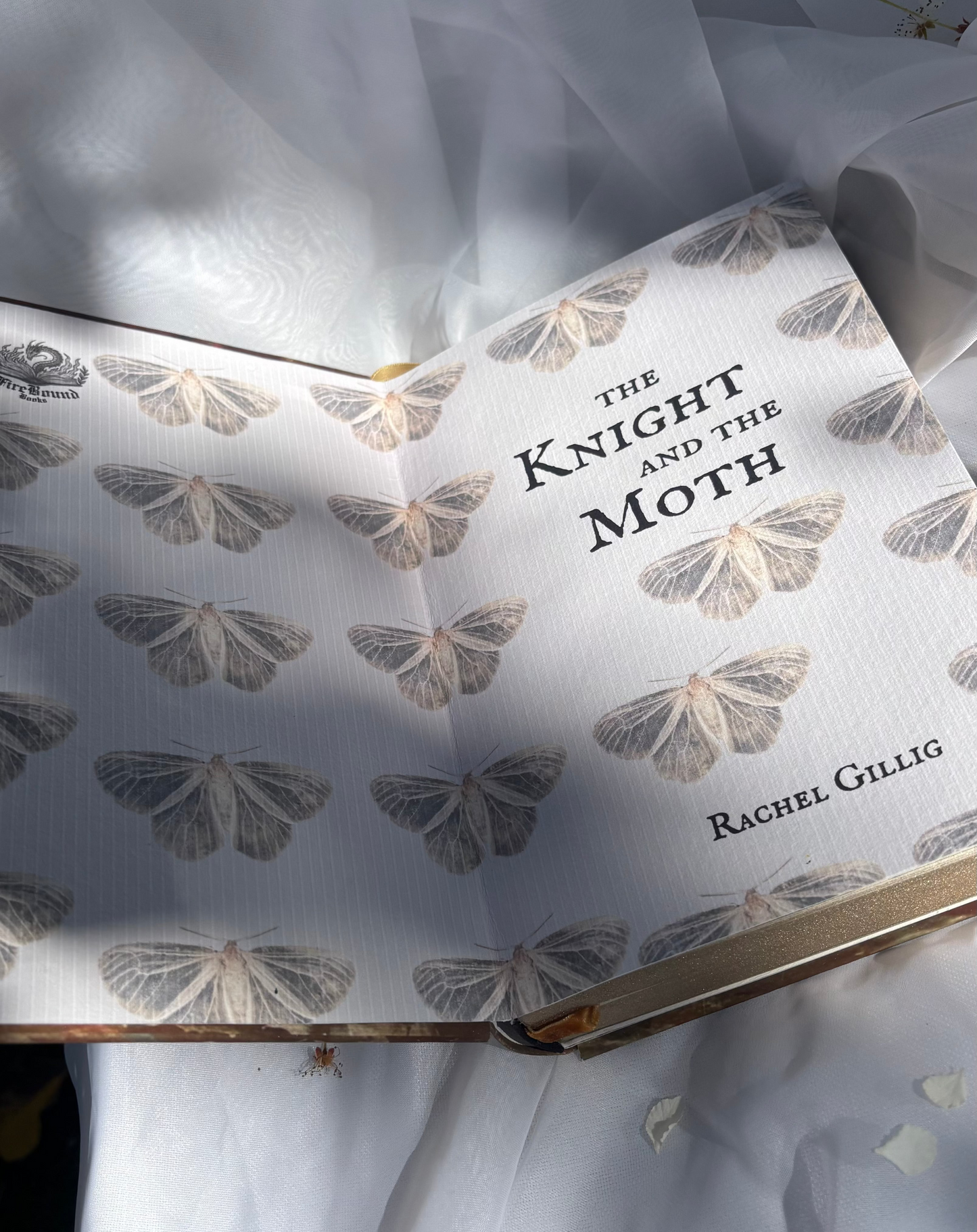The Knight and the Moth Rebind // Special Edition