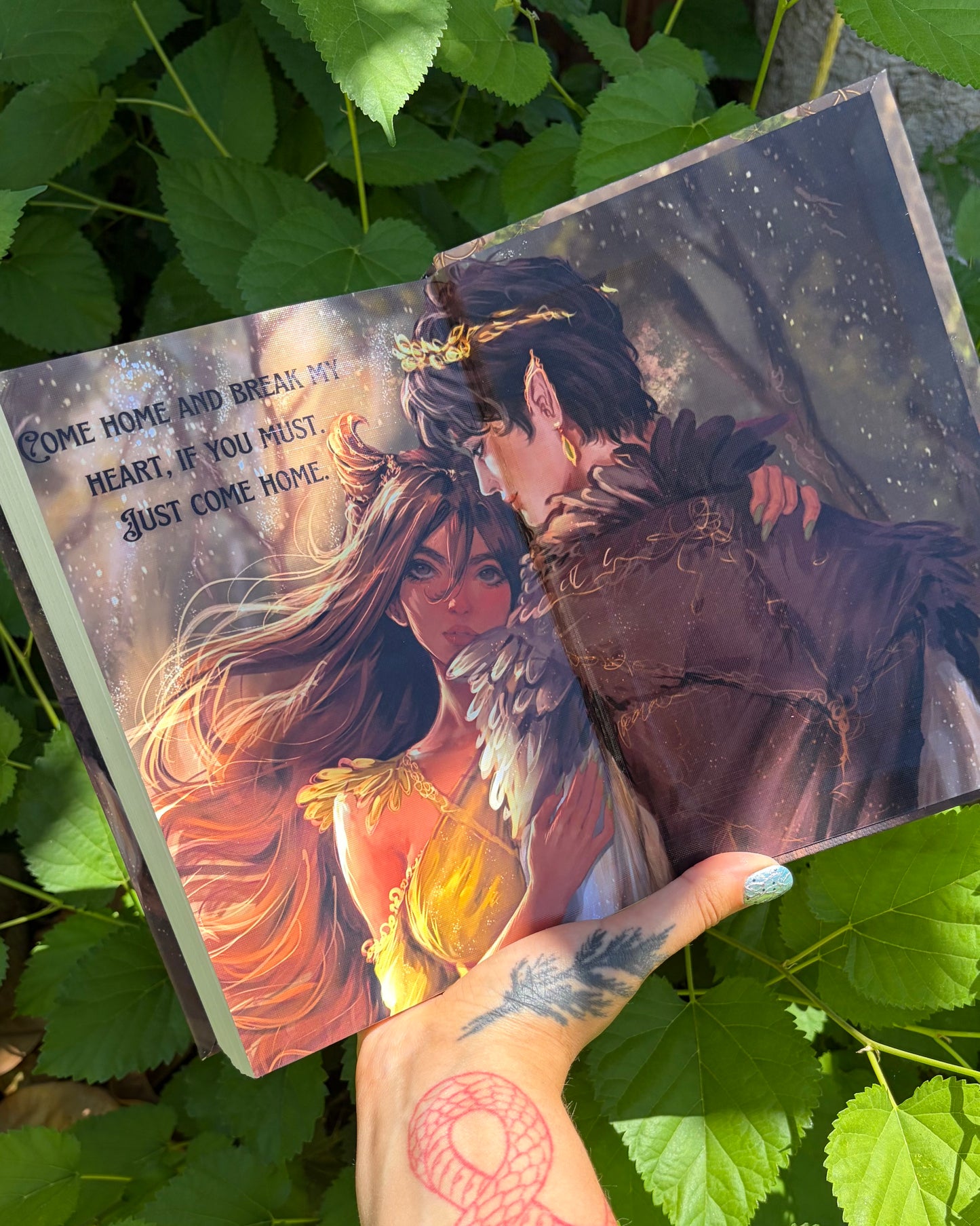 The Folk of the Air Trilogy Omnibus by Holly Balck